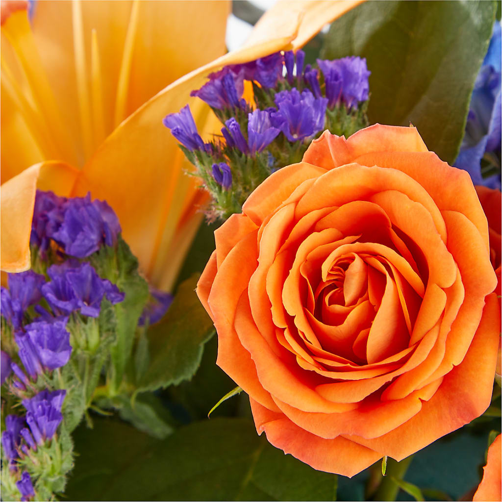 Radiant Citrus Box Bouquet – Dallas House Of Flowers, Dallas TX