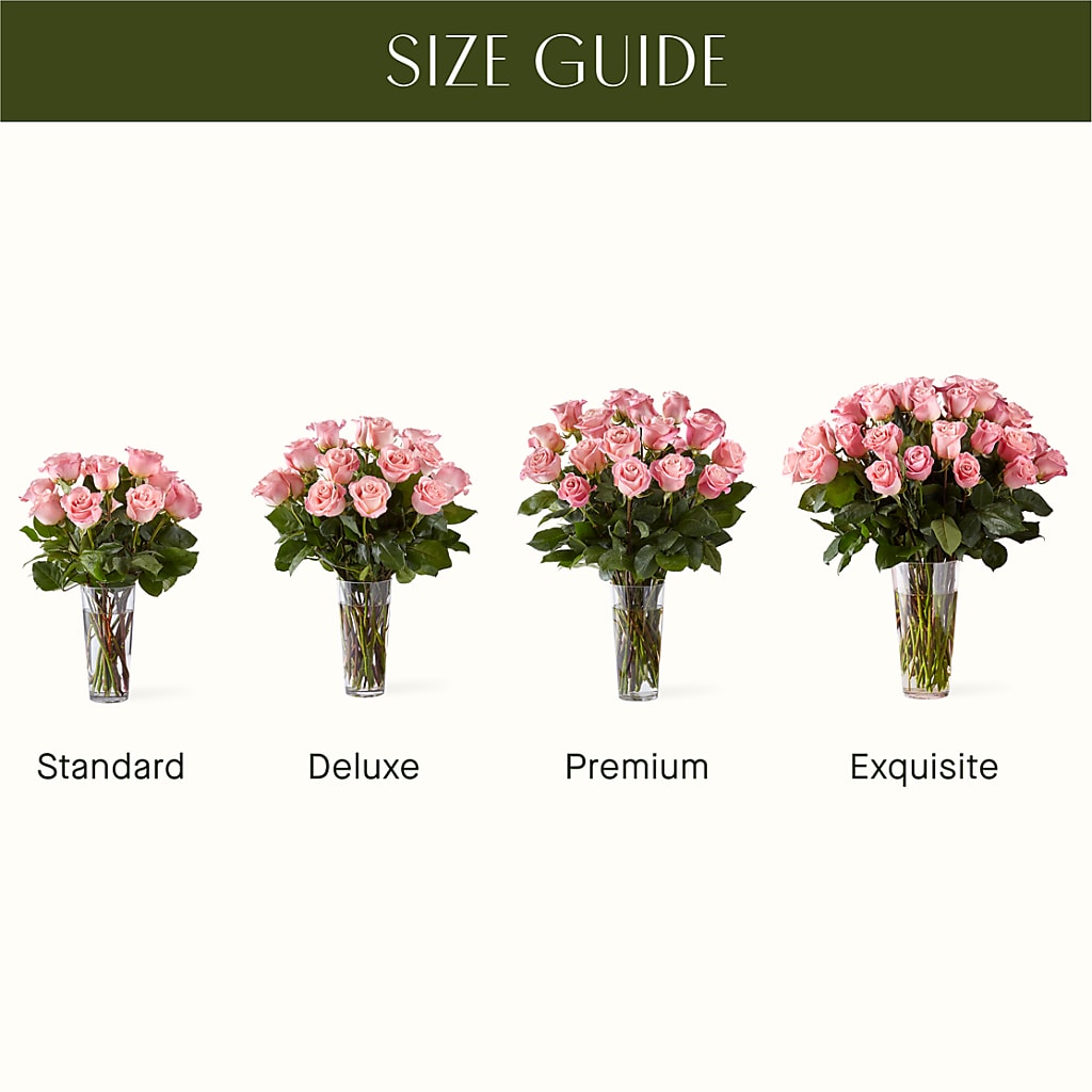 Long Stem Pink Rose Bouquet – Dallas House Of Flowers, Dallas TX