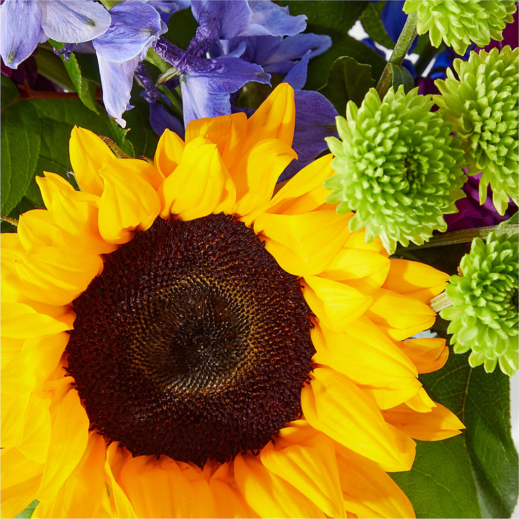 Catching Rays Bouquet – Dallas House Of Flowers, Dallas TX