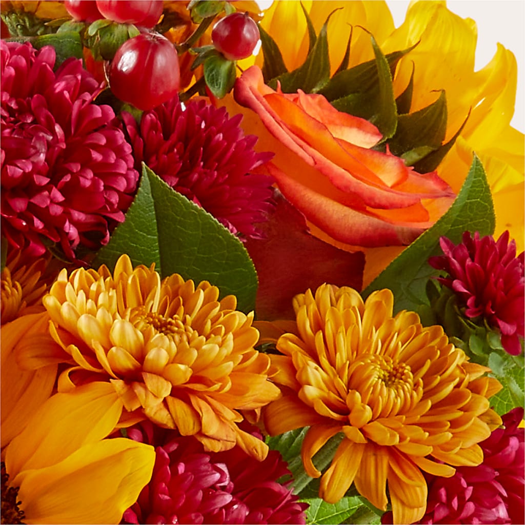 Sweater Season - A Florist Original – Dallas House Of Flowers, Dallas TX
