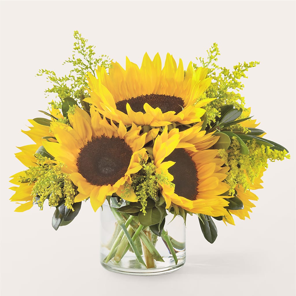 Beaming Sunflower Bouquet – Dallas House Of Flowers, Dallas TX