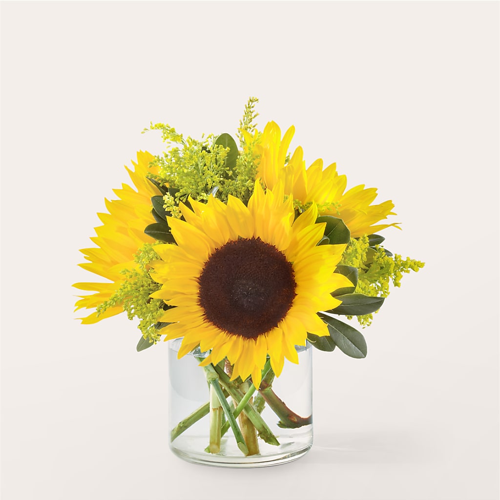Beaming Sunflower Bouquet – Dallas House Of Flowers, Dallas TX