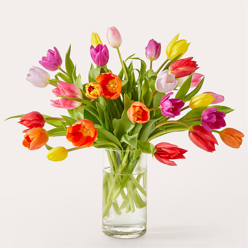 Let's Talk Tulips Bouquet – Dallas House Of Flowers, Dallas TX