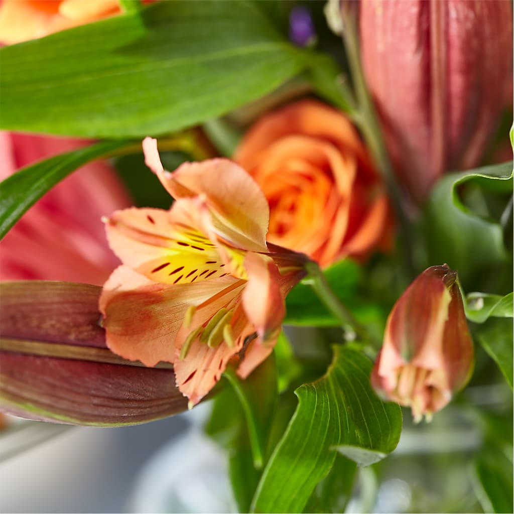 Bold & Bright – A Florist Original –  Dallas House Of Flowers, Dallas TX