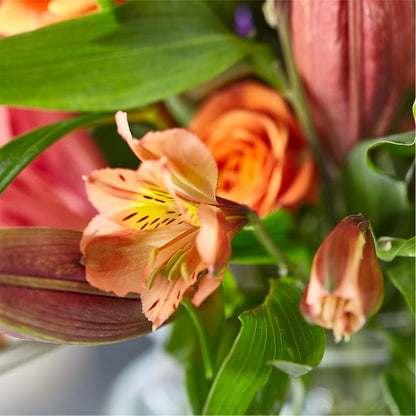 Bold & Bright – A Florist Original –  Dallas House Of Flowers, Dallas TX