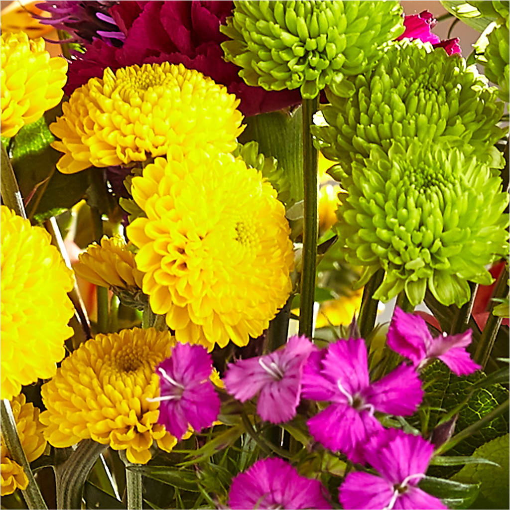Bold & Bright – A Florist Original –  Dallas House Of Flowers, Dallas TX