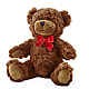 Adorable Plush Bear –  Dallas House Of Flowers, Dallas TX