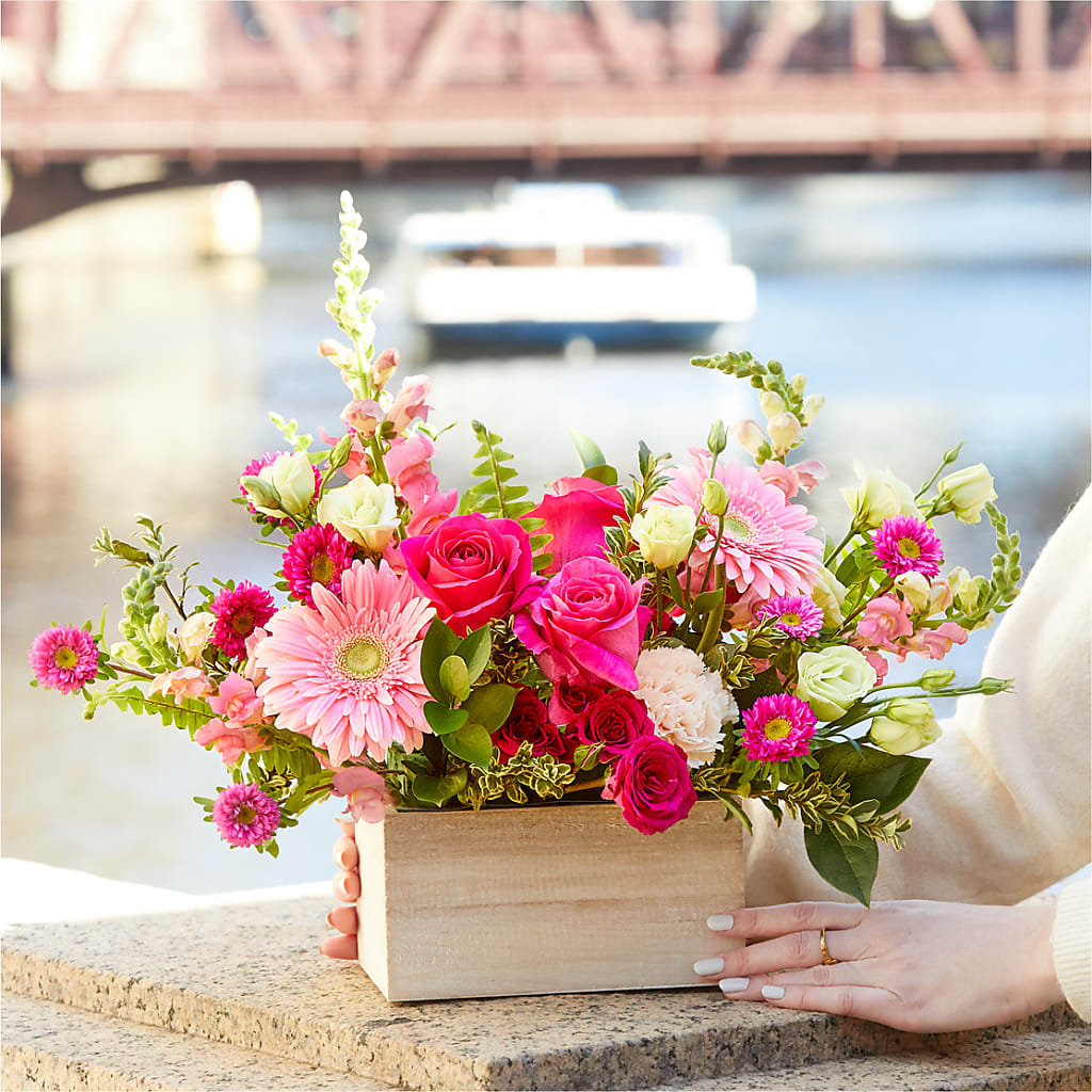 Too Cute Bouquet –  Dallas House Of Flowers, Dallas TX