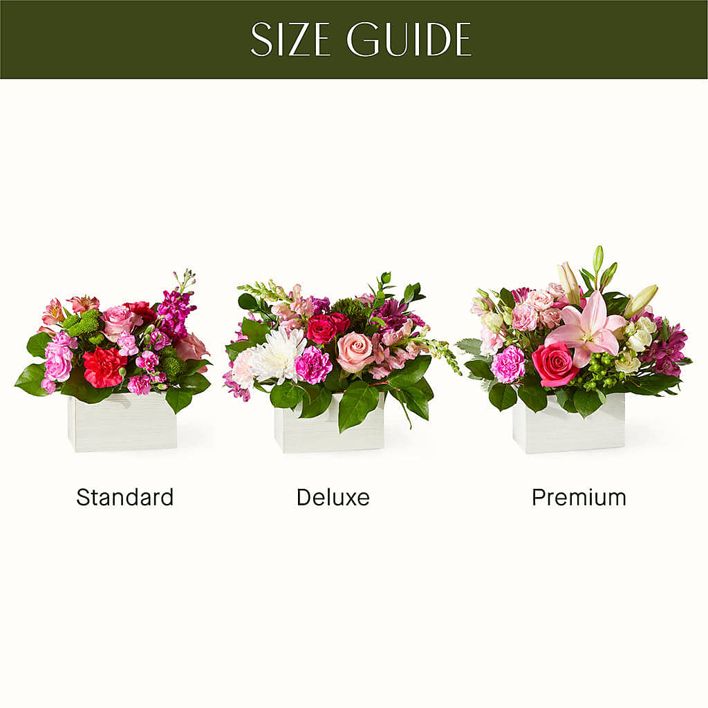 Sweetberry Box – A Florist Original –  Dallas House Of Flowers, Dallas TX