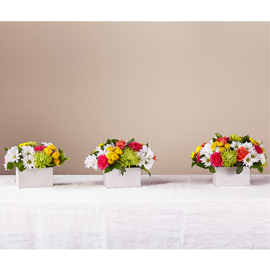 Sorbet Bouquet –  Dallas House Of Flowers, Dallas TX