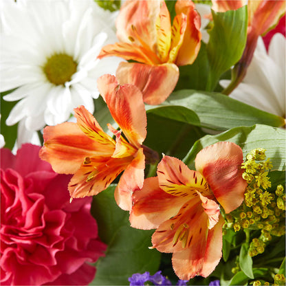 Oopsie Daisy Box Bouquet –  Dallas House Of Flowers, Dallas TX