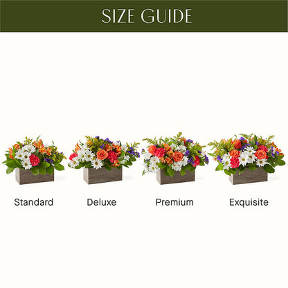 Oopsie Daisy Box Bouquet –  Dallas House Of Flowers, Dallas TX