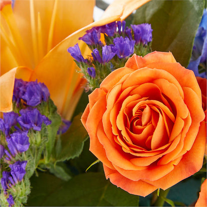 Radiant Citrus Box Bouquet –  Dallas House Of Flowers, Dallas TX