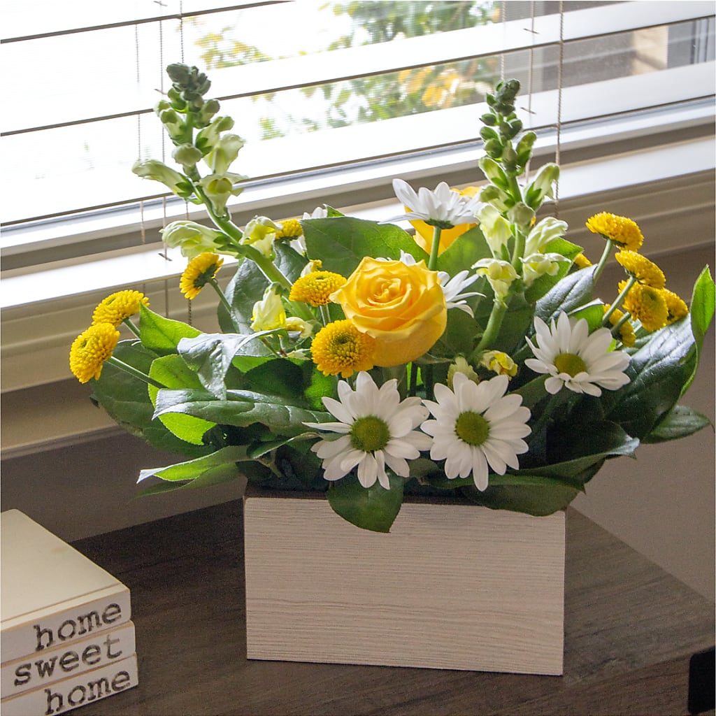 Sun Salutation Box Bouquet –  Dallas House Of Flowers, Dallas TX