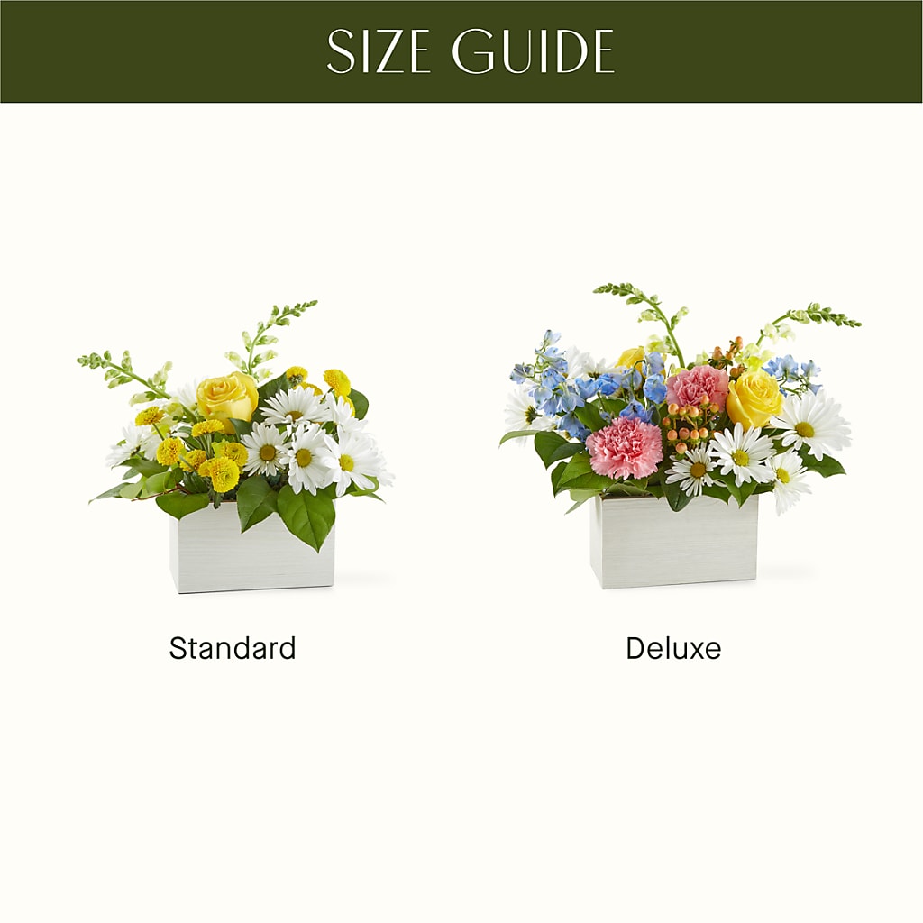 Sun Salutation Box Bouquet –  Dallas House Of Flowers, Dallas TX