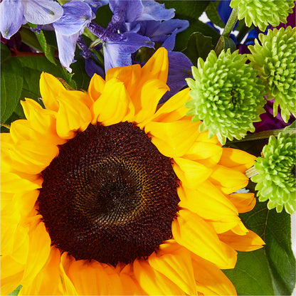 Catching Rays Bouquet –  Dallas House Of Flowers, Dallas TX