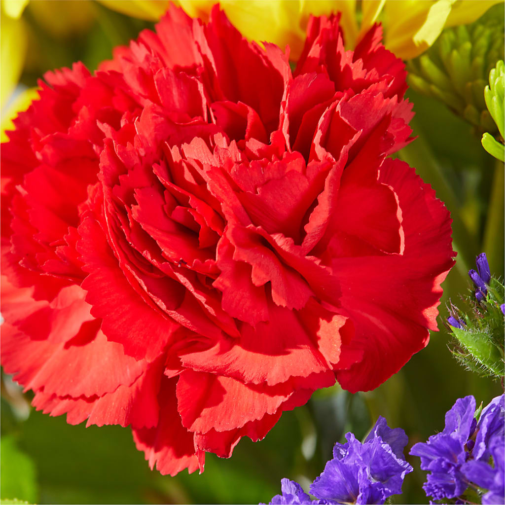 Brighter Days Bouquet –  Dallas House Of Flowers, Dallas TX