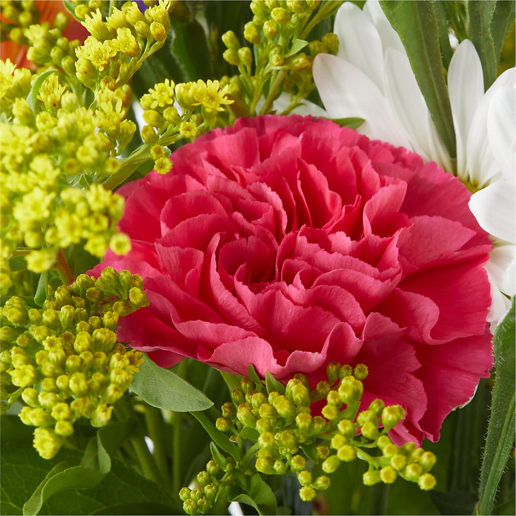 Oopsie Daisy Bouquet –  Dallas House Of Flowers, Dallas TX