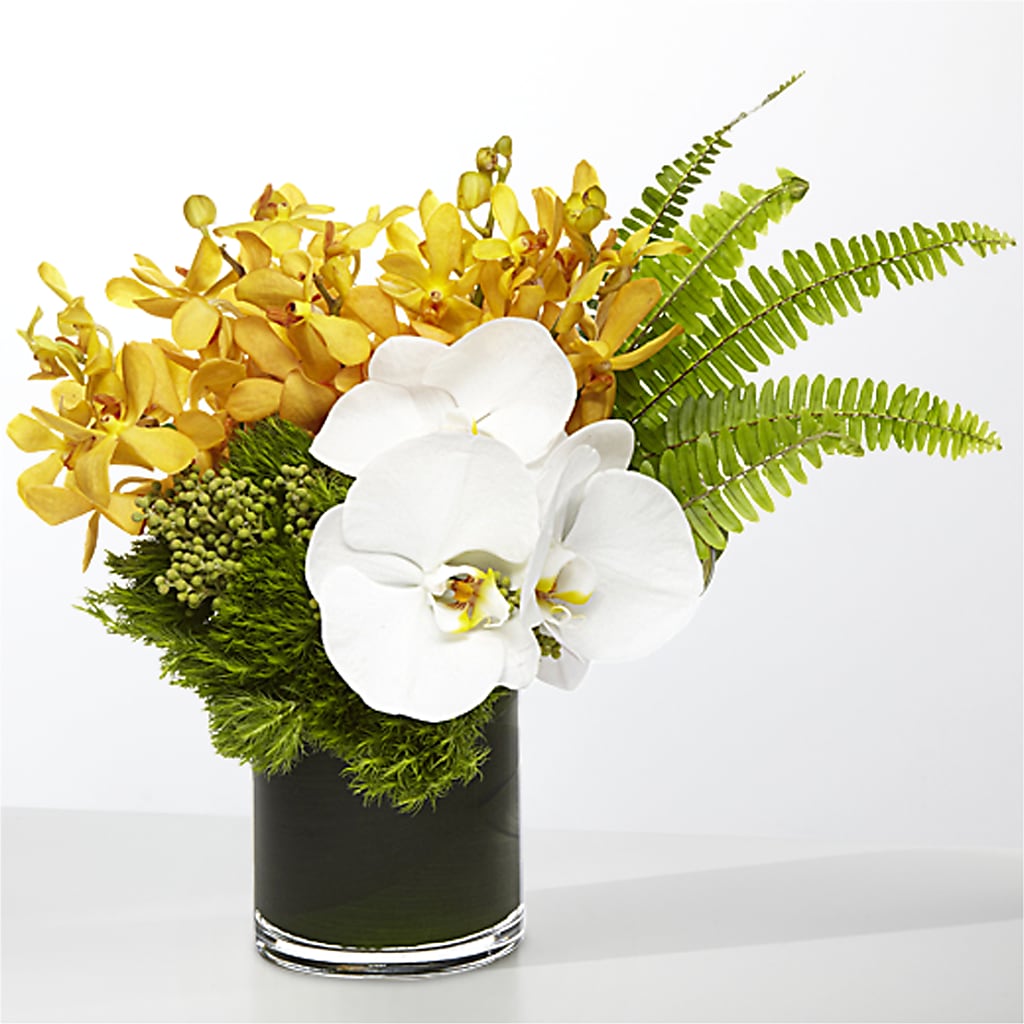The Tropics –  Dallas House Of Flowers, Dallas TX