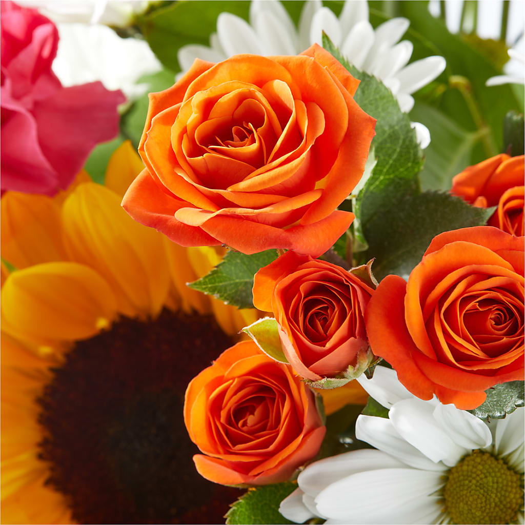 Sun-drenched Blooms Bouquet –  Dallas House Of Flowers, Dallas TX