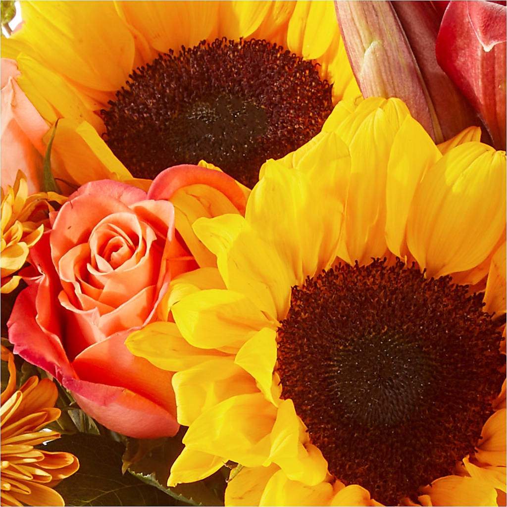 Acorn Lane Bouquet –  Dallas House Of Flowers, Dallas TX