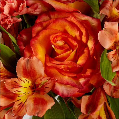 Apricot Glow Bouquet –  Dallas House Of Flowers, Dallas TX