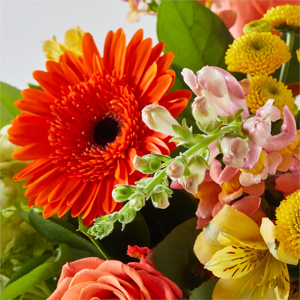 Autumn Sunshine Bouquet –  Dallas House Of Flowers, Dallas TX