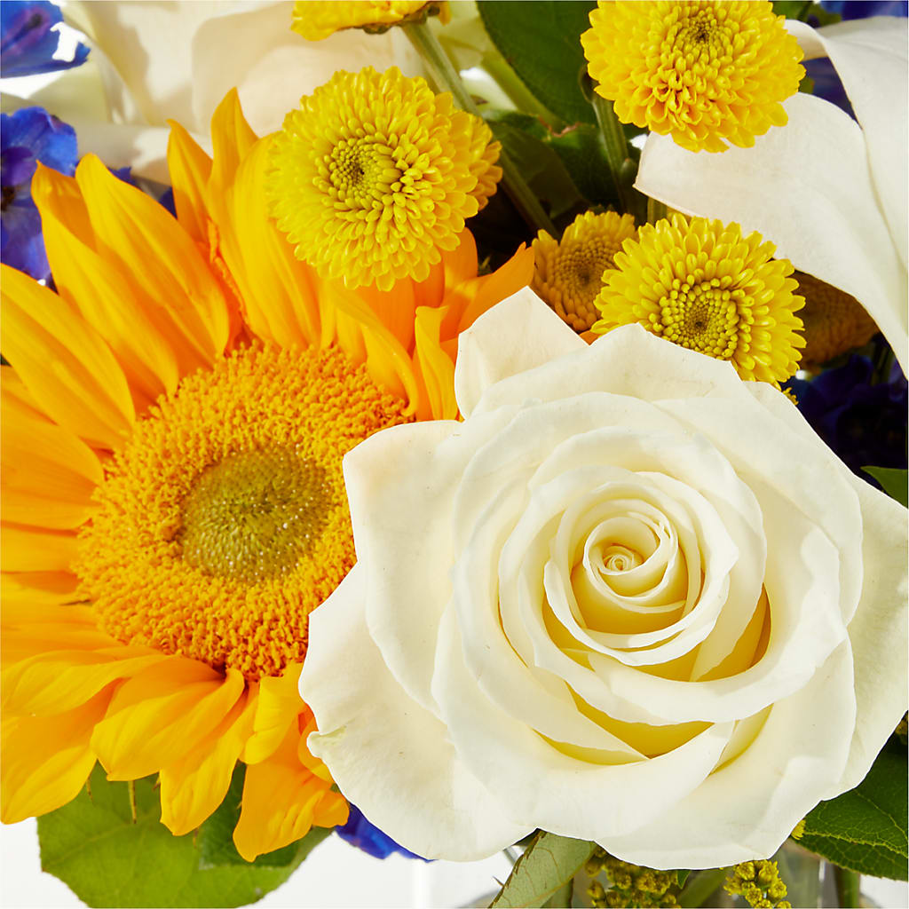 Stargazing Bouquet –  Dallas House Of Flowers, Dallas TX