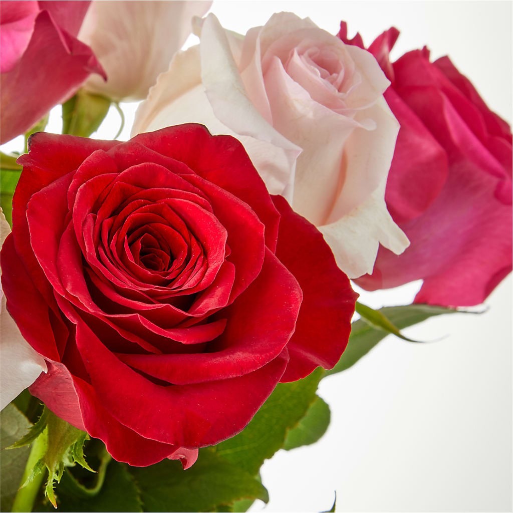 Charming Rose Bouquet –  Dallas House Of Flowers, Dallas TX