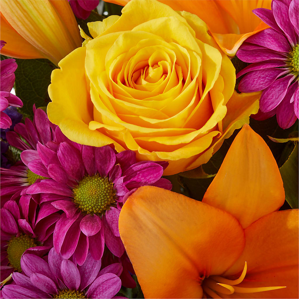 Colorful Visions Bouquet –  Dallas House Of Flowers, Dallas TX