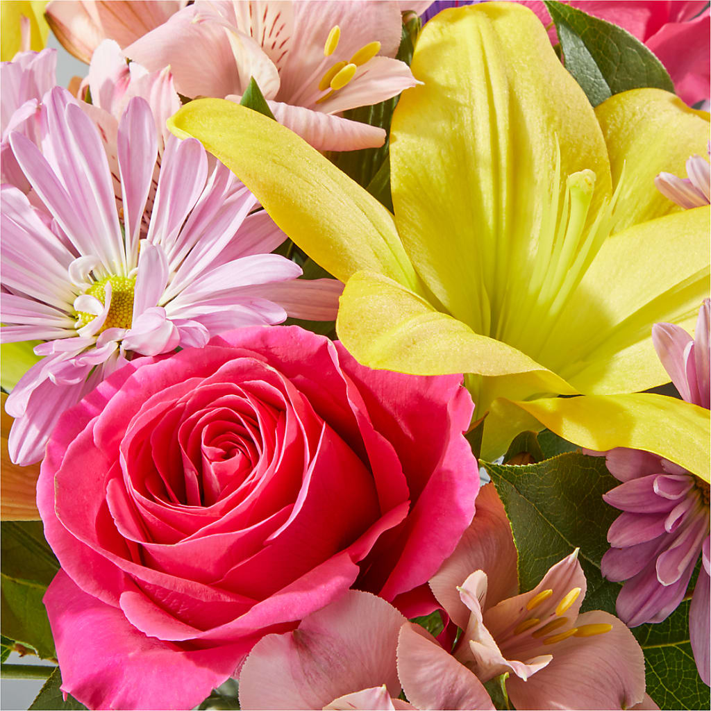Sprinkles Bouquet –  Dallas House Of Flowers, Dallas TX