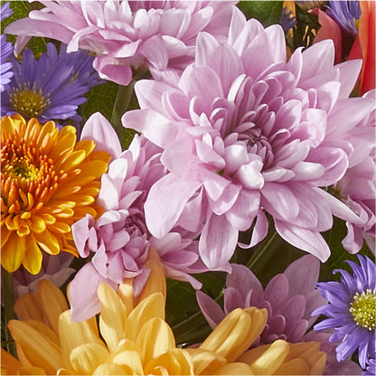 Countryside Bouquet –  Dallas House Of Flowers, Dallas TX