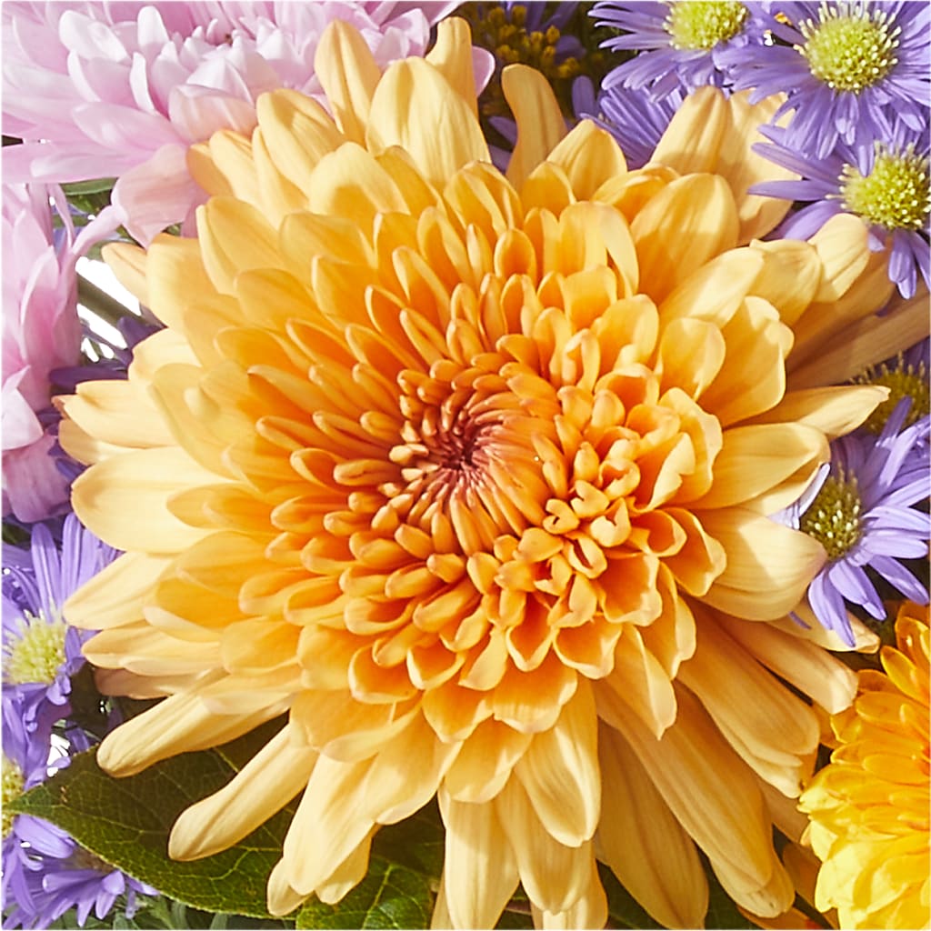 Countryside Bouquet –  Dallas House Of Flowers, Dallas TX