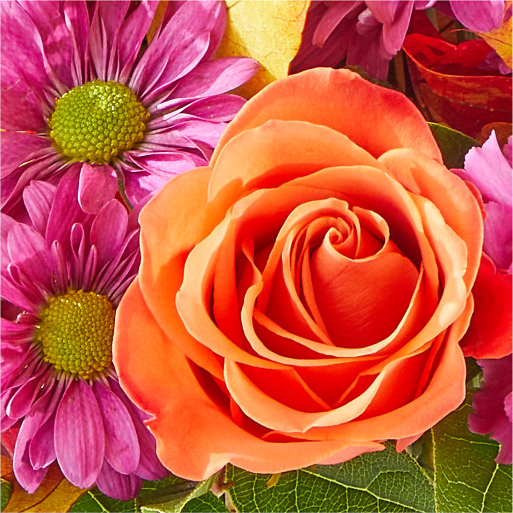 Mum's the Word Bouquet –  Dallas House Of Flowers, Dallas TX