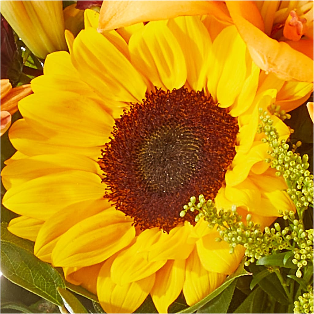 Seasons Change Bouquet –  Dallas House Of Flowers, Dallas TX