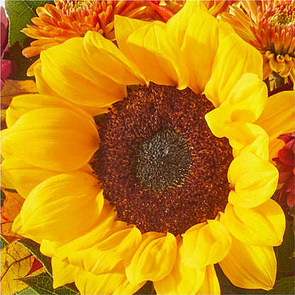 Sunny Side Bouquet –  Dallas House Of Flowers, Dallas TX