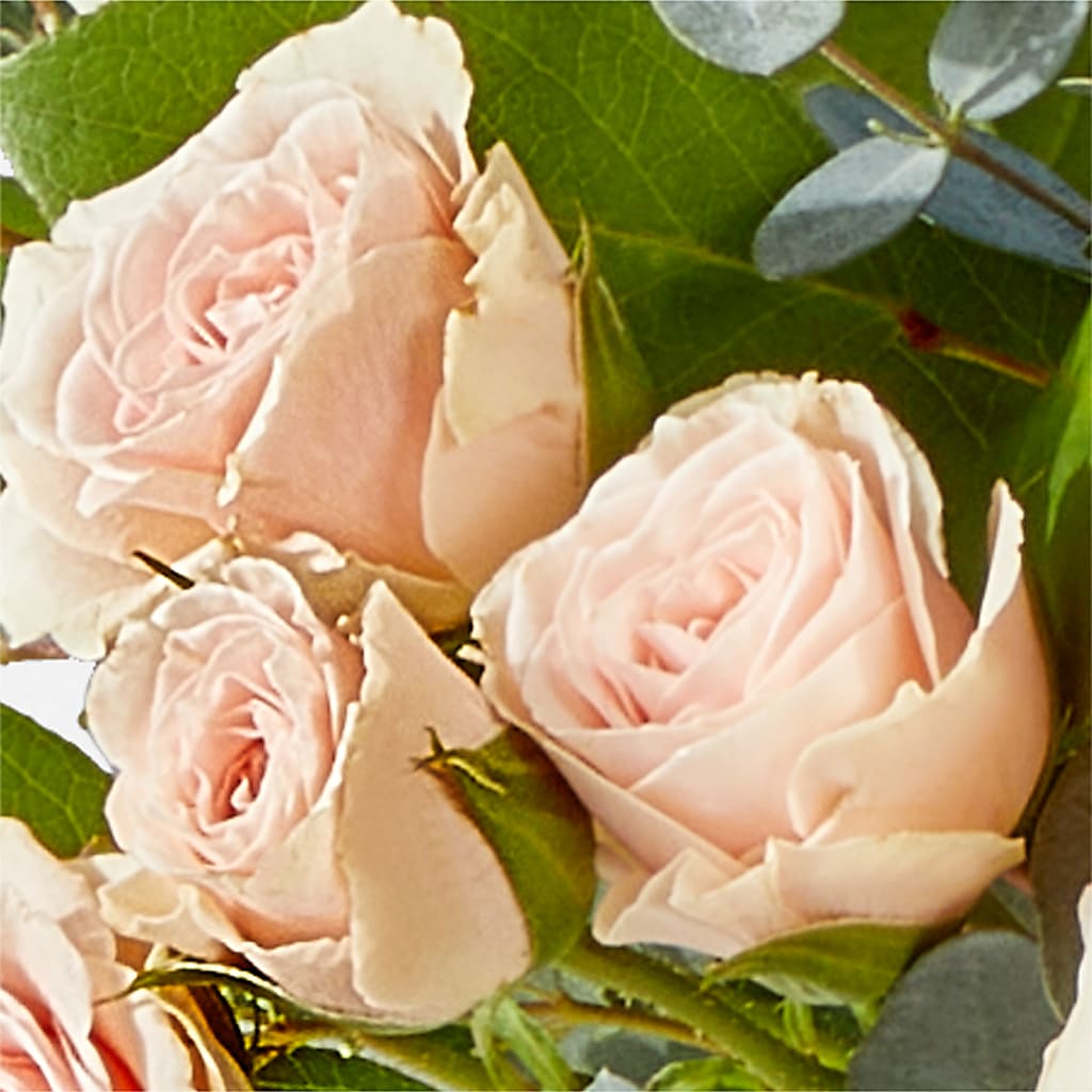 Inspired Bouquet –  Dallas House Of Flowers, Dallas TX