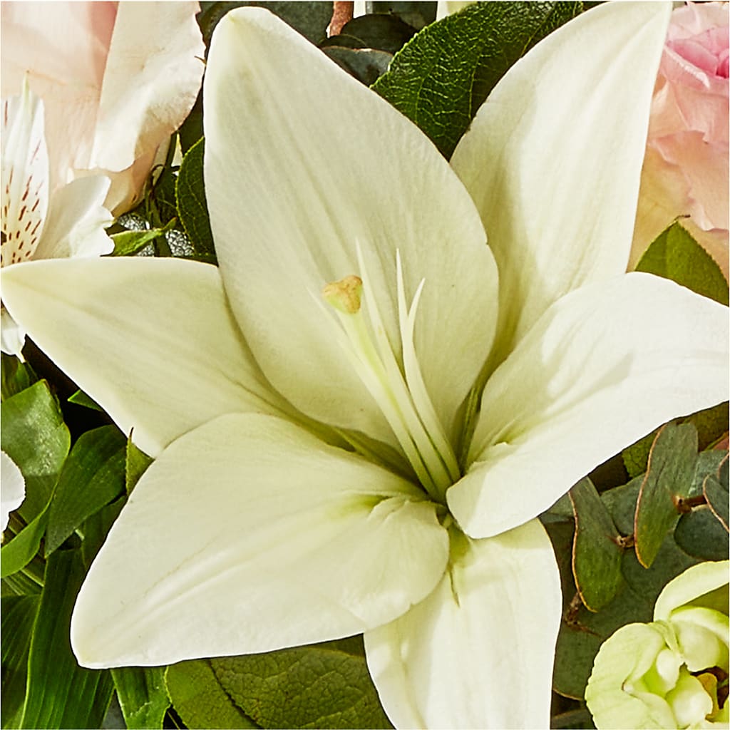 Ballet Slippers Bouquet –  Dallas House Of Flowers, Dallas TX