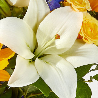 Wonderfully Sunny Bouquet –  Dallas House Of Flowers, Dallas TX