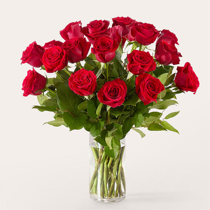 The One Red Rose Bouquet –  Dallas House Of Flowers, Dallas TX