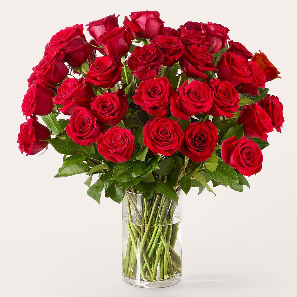The One Red Rose Bouquet –  Dallas House Of Flowers, Dallas TX