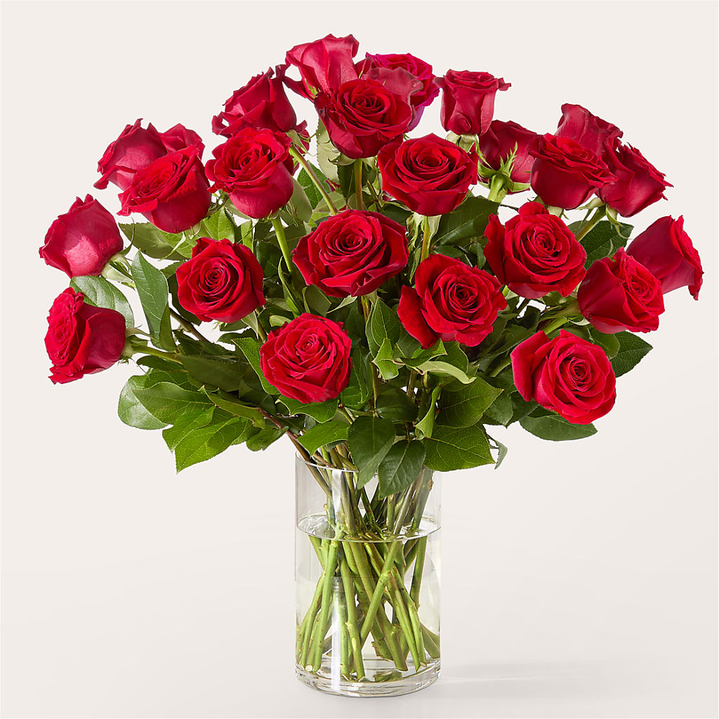 The One Red Rose Bouquet –  Dallas House Of Flowers, Dallas TX