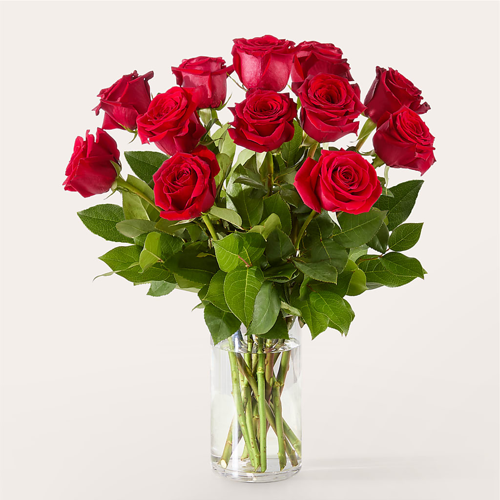 The One Red Rose Bouquet –  Dallas House Of Flowers, Dallas TX