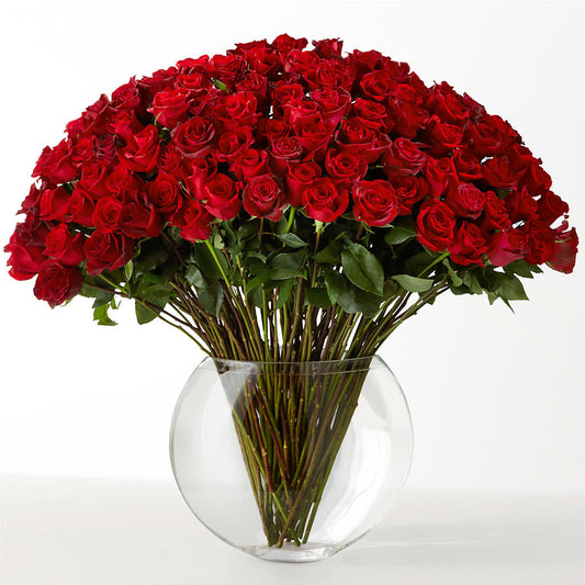 The Idealist –  Dallas House Of Flowers, Dallas TX
