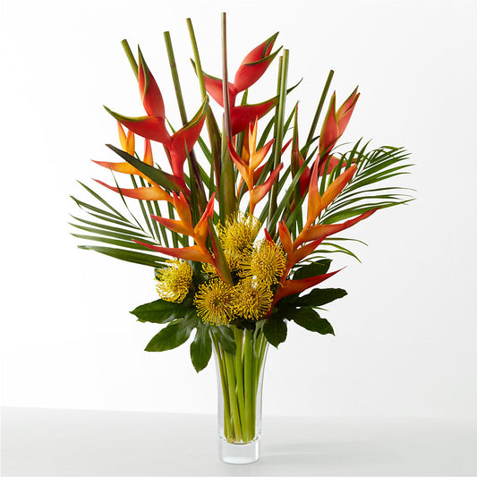The Drama –  Dallas House Of Flowers, Dallas TX